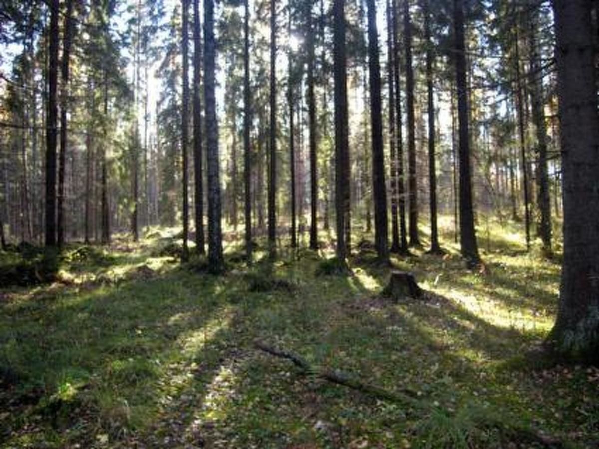 Дома для отпуска Holiday Home Oravanpesä Hauho-13